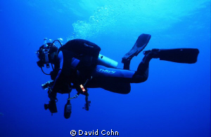 ascent and doing a safety stop by David Cohn 